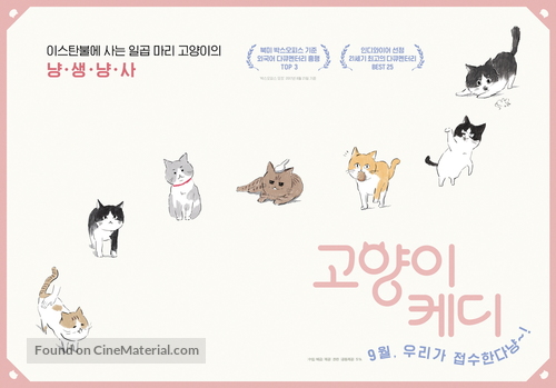 Kedi - South Korean Movie Poster