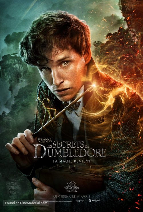 Fantastic Beasts: The Secrets of Dumbledore - French Movie Poster