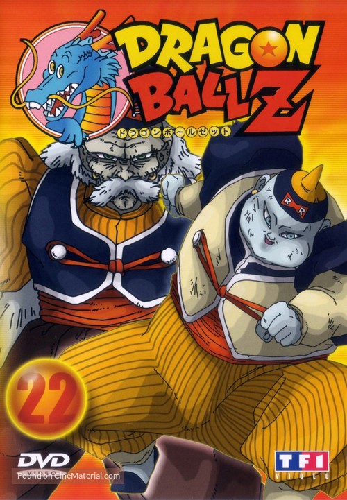 &quot;Dragon Ball Z&quot; - French DVD movie cover