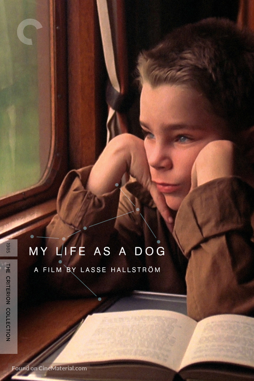Mitt liv som hund - DVD movie cover