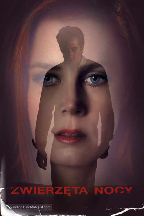 Nocturnal Animals - Polish Video on demand movie cover