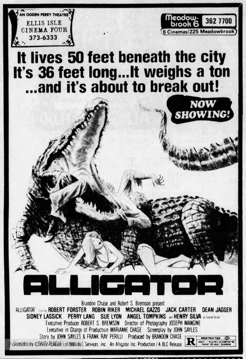 Alligator - poster