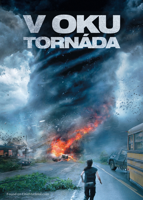 Into the Storm - Czech DVD movie cover