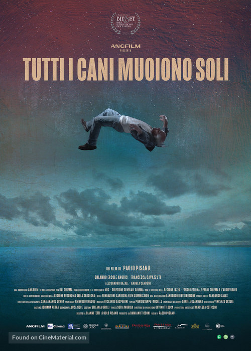 Tutti i cani muoiono soli - Irish Movie Poster