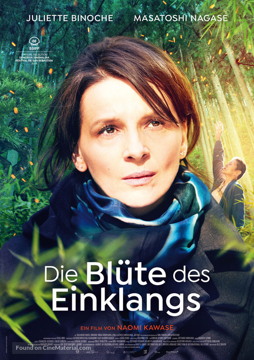 Vision - German Movie Poster