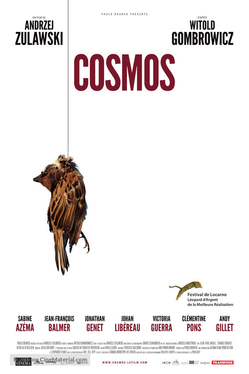 Cosmos - French Movie Poster