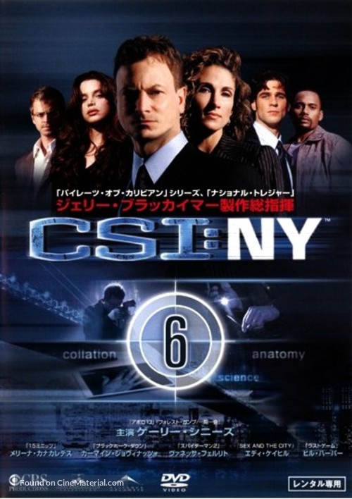 &quot;CSI: NY&quot; - Japanese poster