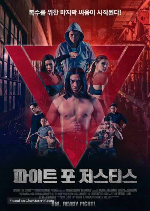 The Trigonal: Fight for Justice - South Korean Movie Poster