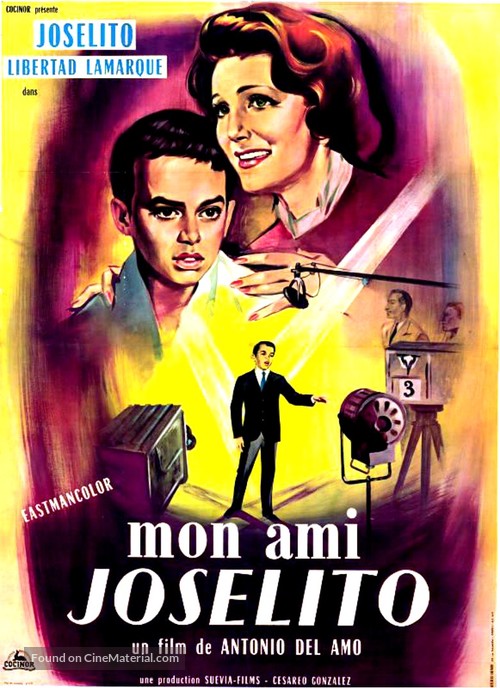 Bello recuerdo - French Movie Poster