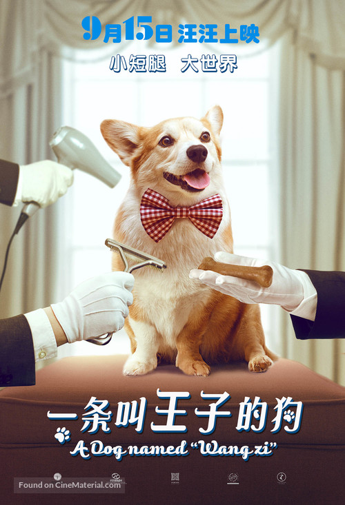 A Dog Named Wang Zi - Chinese Movie Poster