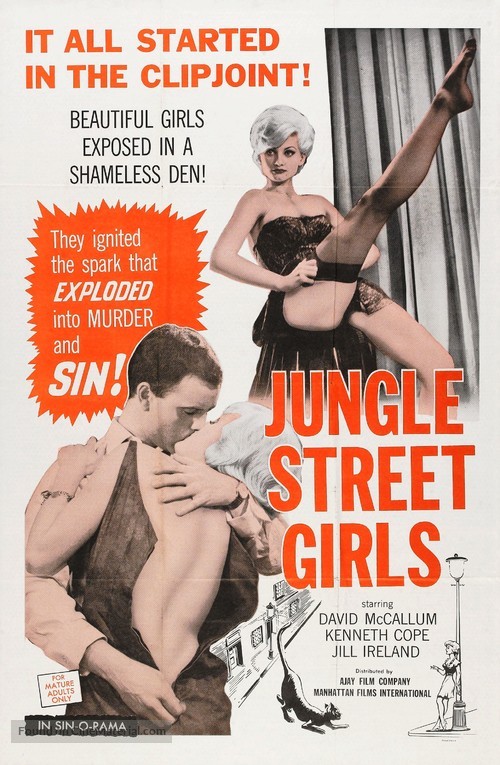 Jungle Street - Movie Poster