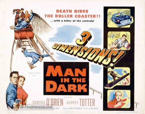 Man in the Dark - Movie Poster