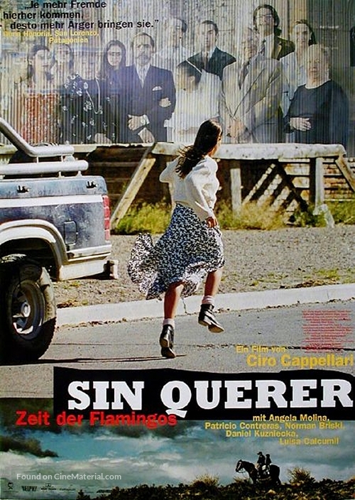 Sin querer - German Movie Poster