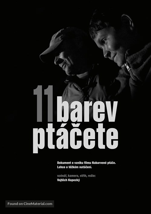 11 barev pt&aacute;cete - Czech Movie Poster