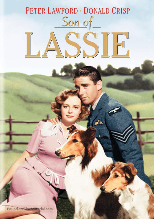 Son of Lassie - DVD movie cover