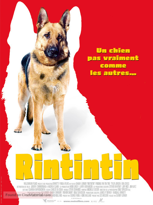 Finding Rin Tin Tin - French Movie Poster