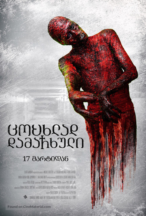 The Devil&#039;s Tail - Georgian Movie Poster