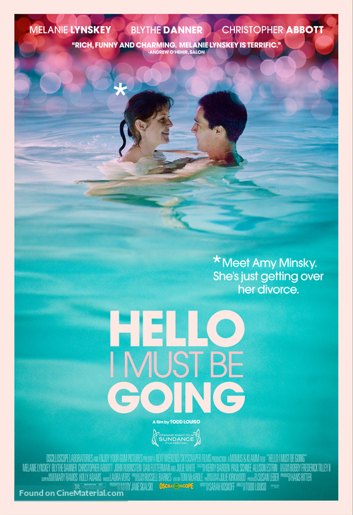 Hello I Must Be Going - Movie Poster