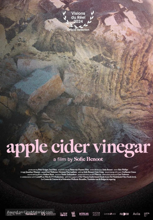 Apple Cider Vinegar - Belgian Movie Poster