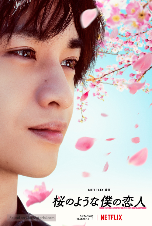My Dearest, Like a Cherry Blossom - Japanese Movie Poster