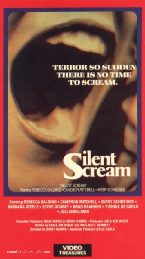 The Silent Scream - VHS movie cover