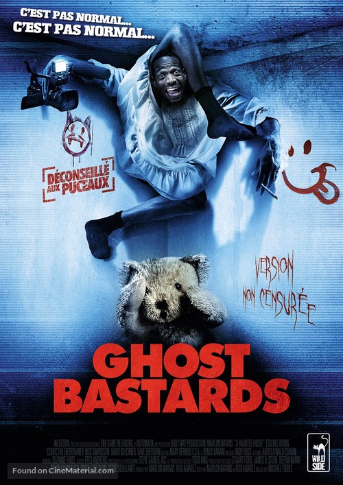 A Haunted House - French DVD movie cover
