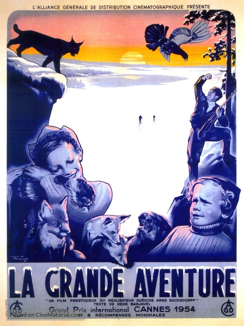 Stora &auml;ventyret, Det - French Movie Poster