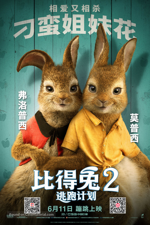 Peter Rabbit 2: The Runaway - Chinese Movie Poster