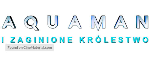 Aquaman and the Lost Kingdom - Polish Logo