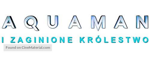 Aquaman and the Lost Kingdom - Polish Logo