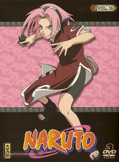 &quot;Naruto&quot; - French DVD movie cover