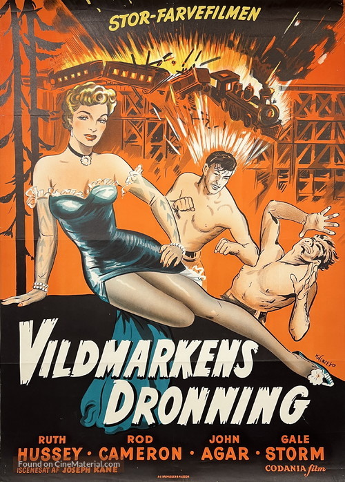 Woman of the North Country - Danish Movie Poster