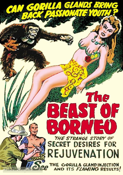 The Beast of Borneo - DVD movie cover