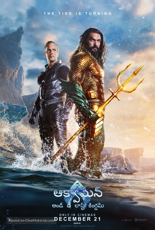 Aquaman and the Lost Kingdom - Indian Movie Poster