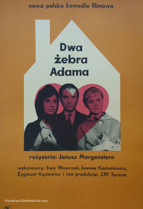 Dwa zebra Adama - Polish Movie Poster