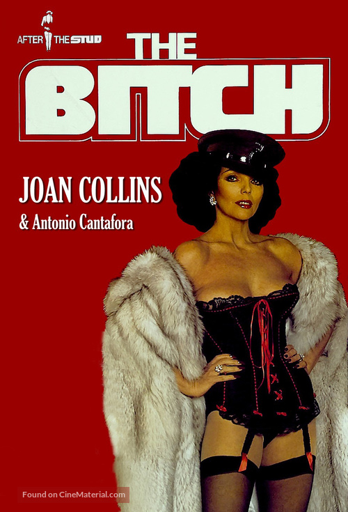 The Bitch - Movie Cover