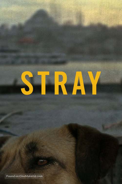 Stray - Movie Cover