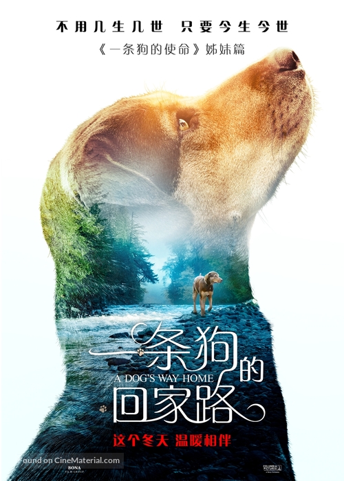 A Dog&#039;s Way Home - Chinese Movie Poster