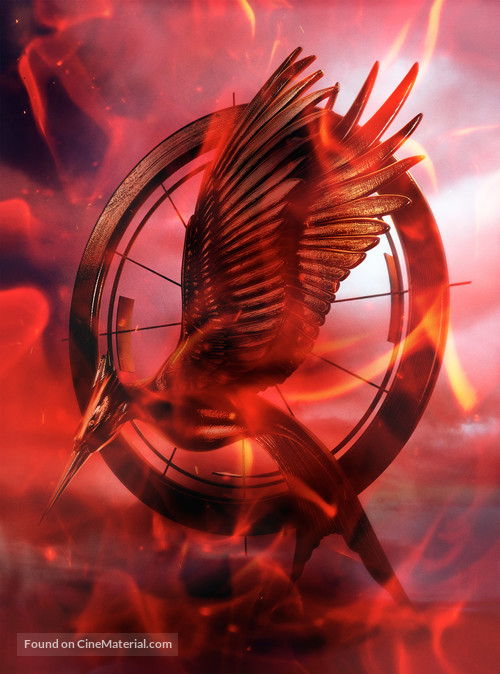 The Hunger Games: Catching Fire - Key art