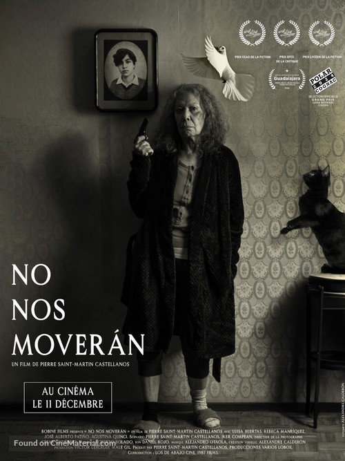 No nos mover&aacute;n - French Movie Poster