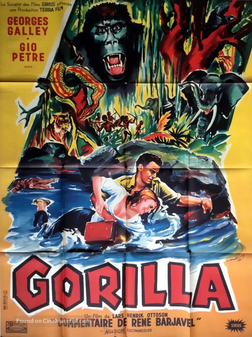 Gorilla - French Movie Poster