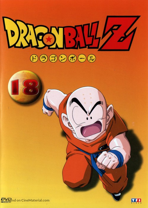 &quot;Dragon Ball Z&quot; - French DVD movie cover