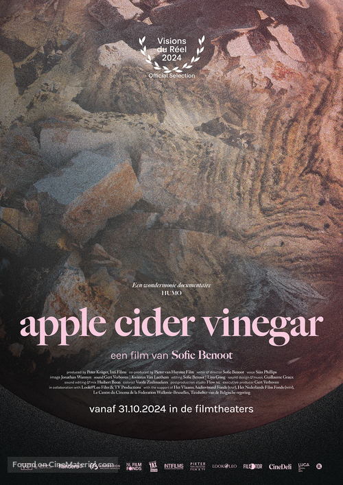 Apple Cider Vinegar - Dutch Movie Poster