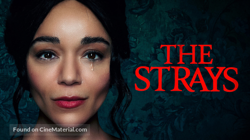 The Strays - poster