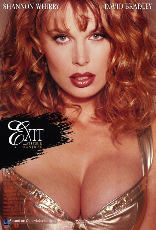 Exit - Movie Poster