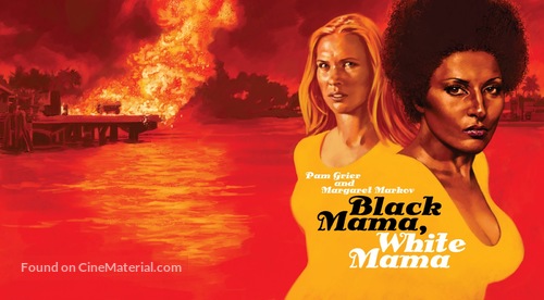 Black Mama, White Mama - poster