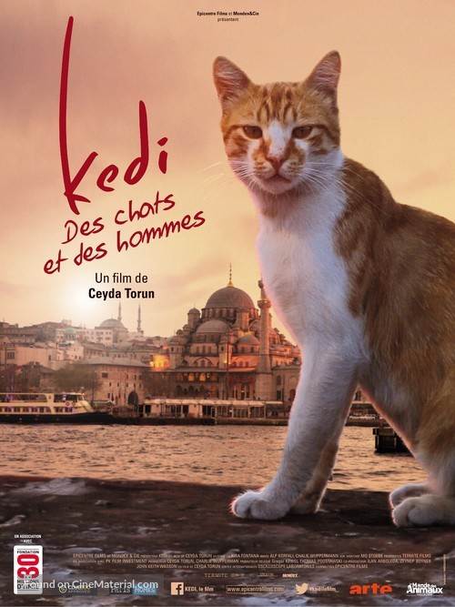 Kedi - French Movie Poster