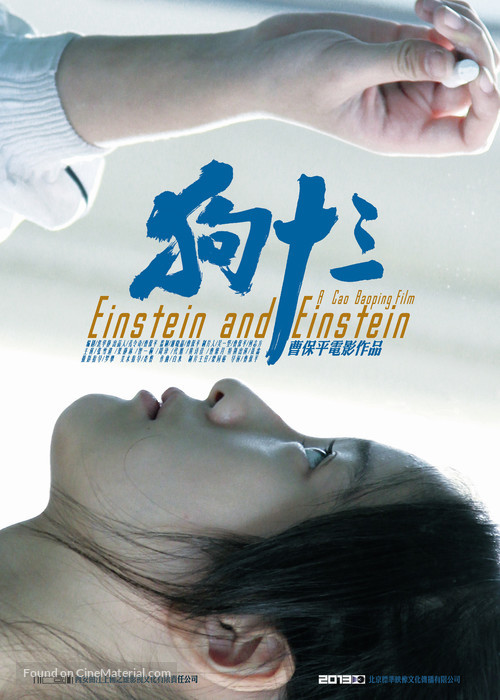 Einstein and Einstein - Chinese Movie Poster