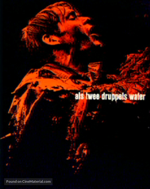 Als twee druppels water - Dutch Movie Poster