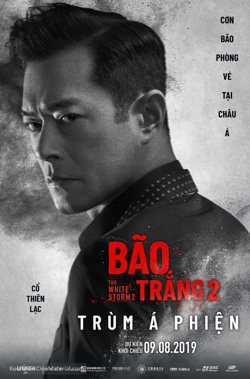 The White Storm 2: Drug Lords - Vietnamese Movie Poster